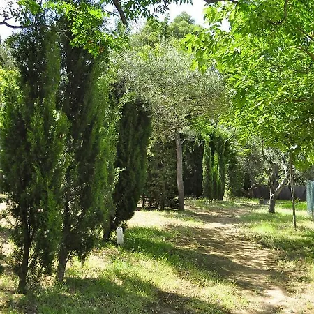 Ampurdanes * Ρόζες
